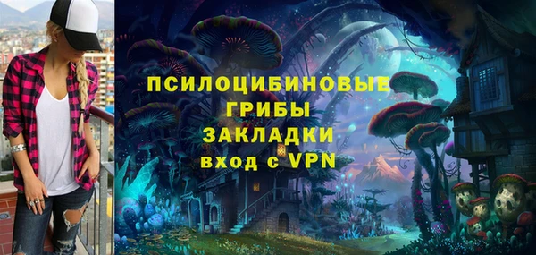 крисы Арсеньев