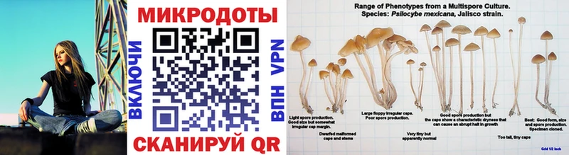 Галлюциногенные грибы Psilocybe  kraken как зайти  Соль-Илецк 